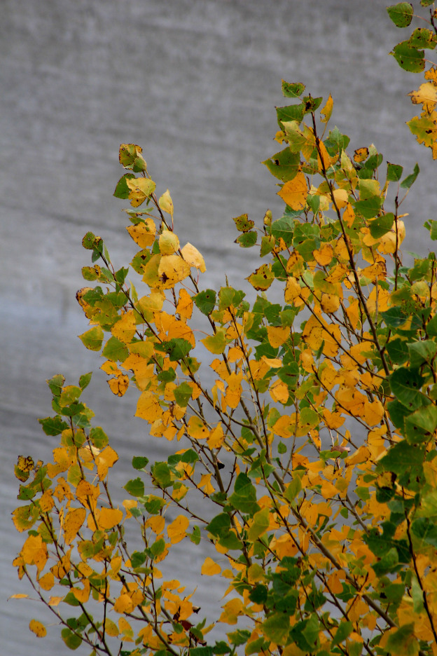 otoño Alicante_María Jesús Mora_ Arquitecta 7