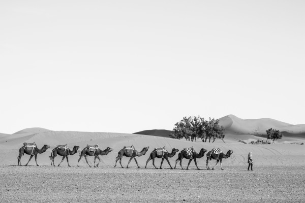 MARRUECOS 25 MARZO_ 8 ABRIL 2015_0449