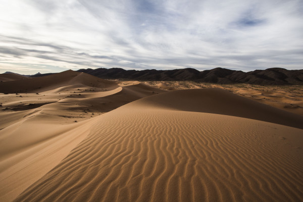 MARRUECOS 25 MARZO_ 8 ABRIL 2015_0543