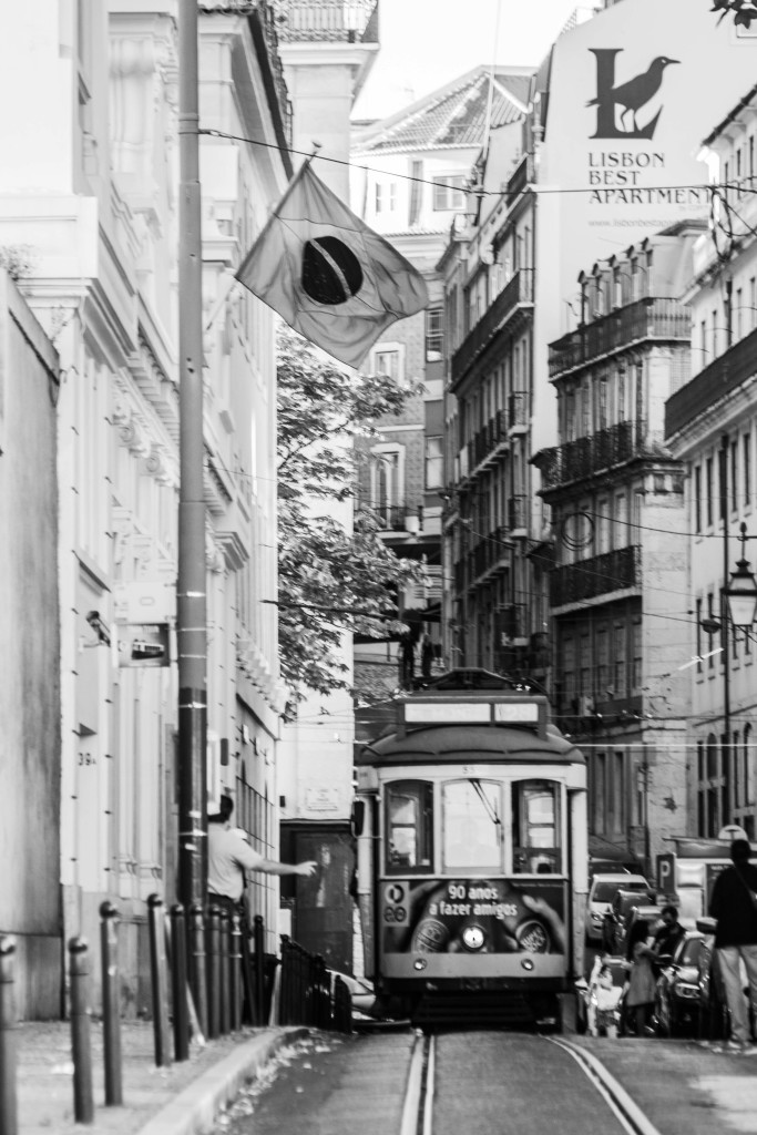 LISBOA-FOTOGRAFÍA-MARÍA JESUS MORA-ARQUITECTO ALICANTE (65)